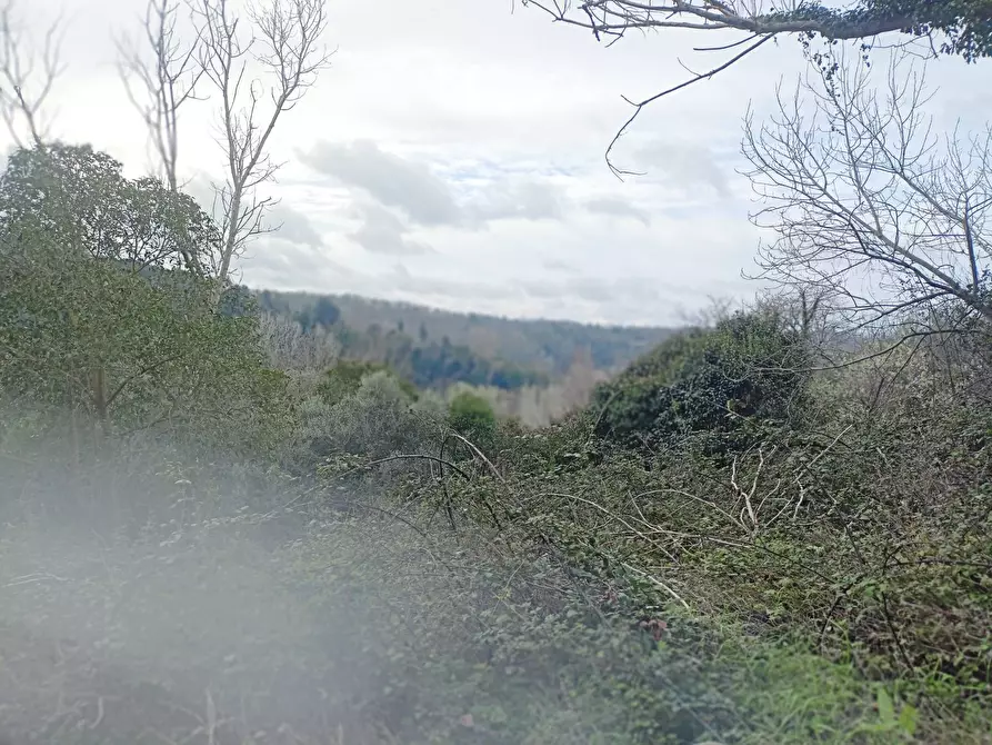 Immagine 13 di Rustico / casale in vendita  in via bugallo a Crespina Lorenzana