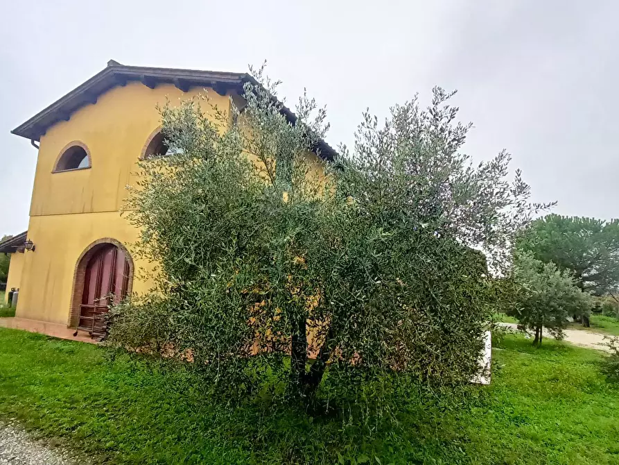 Immagine 6 di Casa indipendente in vendita  in via dei girasoli a Montopoli In Val D'arno