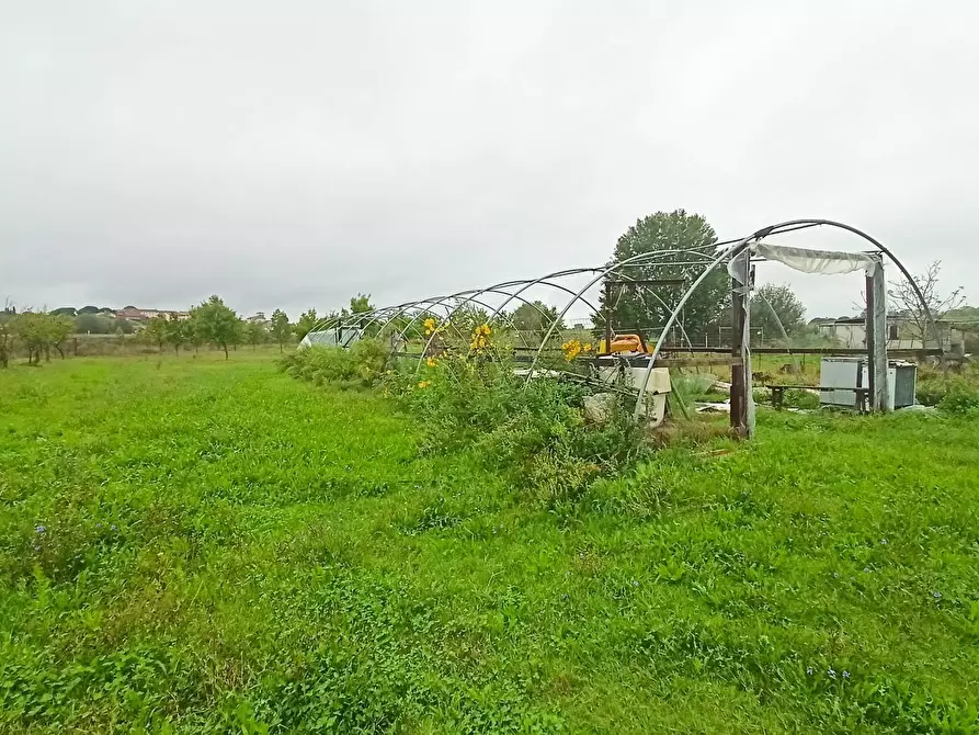 Immagine 8 di Casa indipendente in vendita  in via dei girasoli a Montopoli In Val D'arno