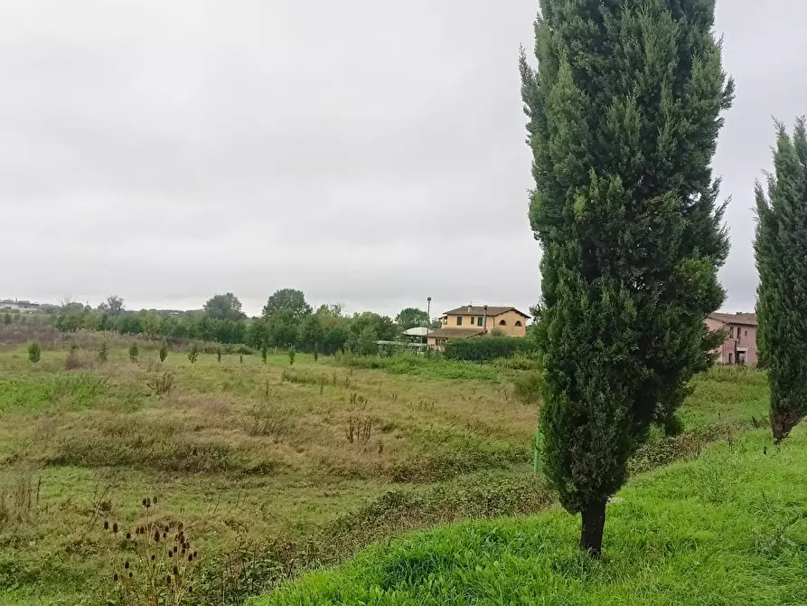 Immagine 10 di Casa indipendente in vendita  in via dei girasoli a Montopoli In Val D'arno