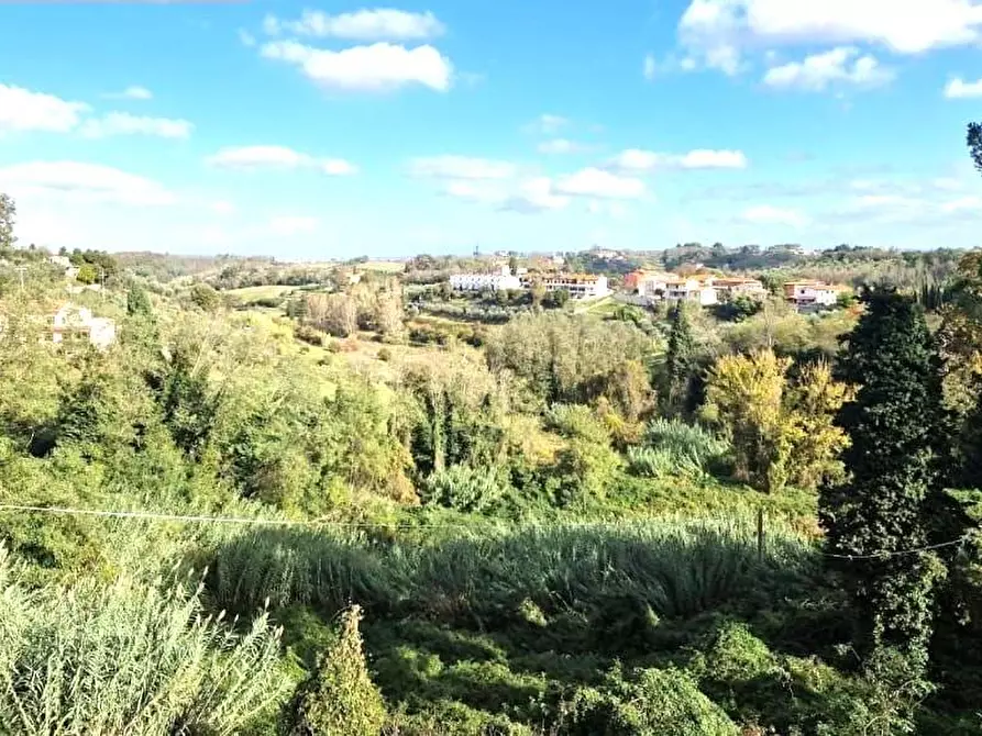 Immagine 11 di Appartamento in vendita  in via trento e trieste 11 a Crespina Lorenzana