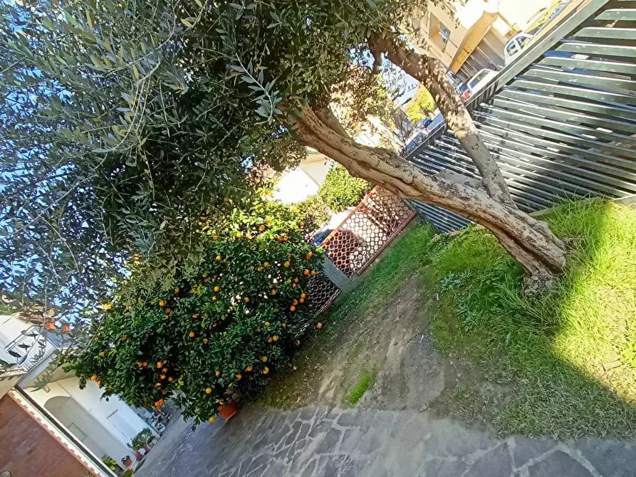 Immagine 24 di Appartamento in vendita  in viale 1  maggio a Ponsacco