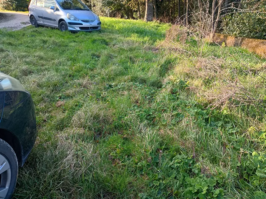 Immagine 22 di Casa indipendente in vendita  in via santissima annunziata a Capannoli