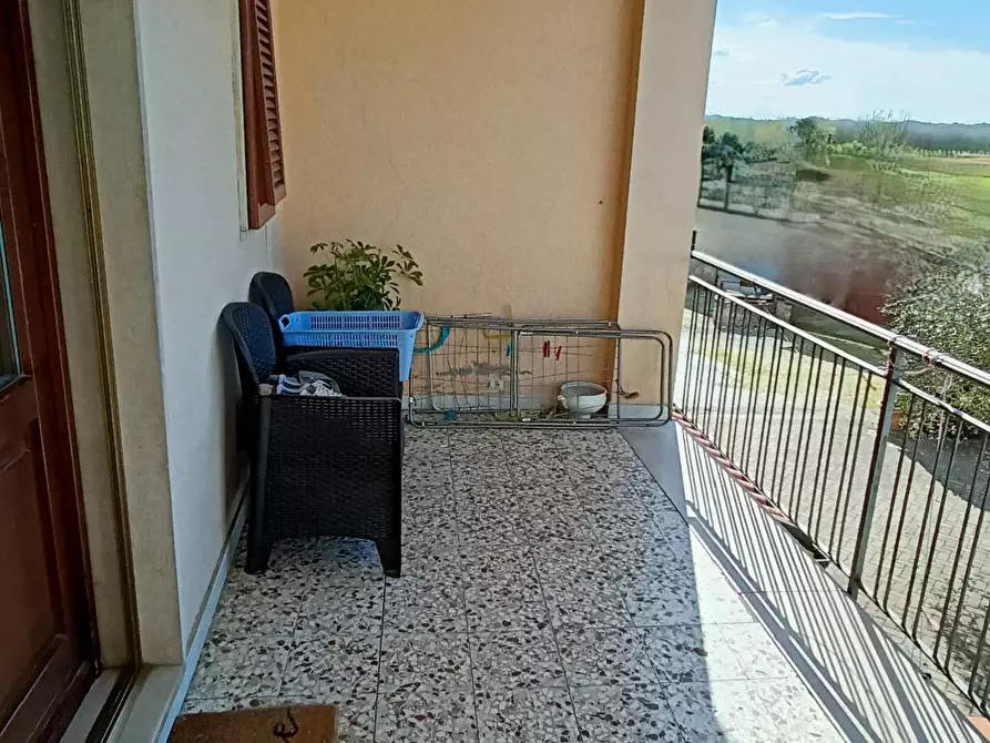 Immagine 16 di Appartamento in vendita  in via del fosso a Santa Maria A Monte