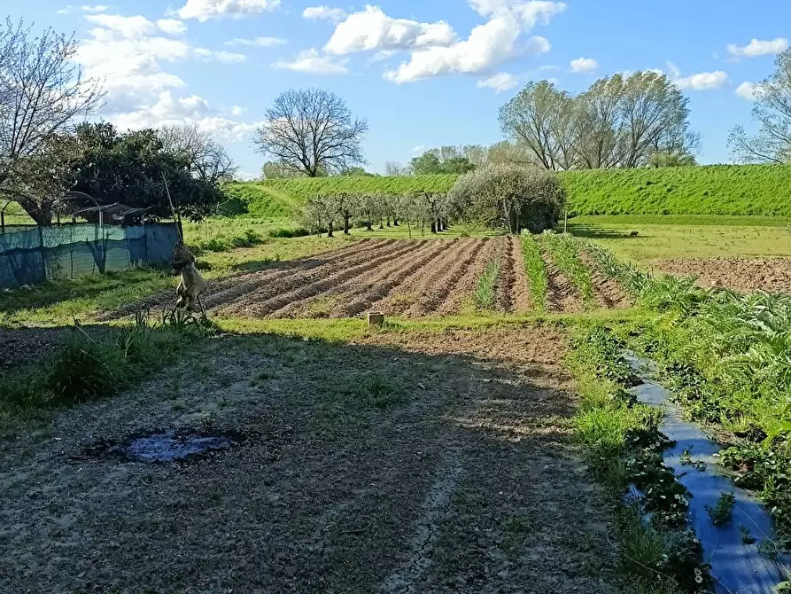 Immagine 22 di Appartamento in vendita  in via del fosso a Santa Maria A Monte