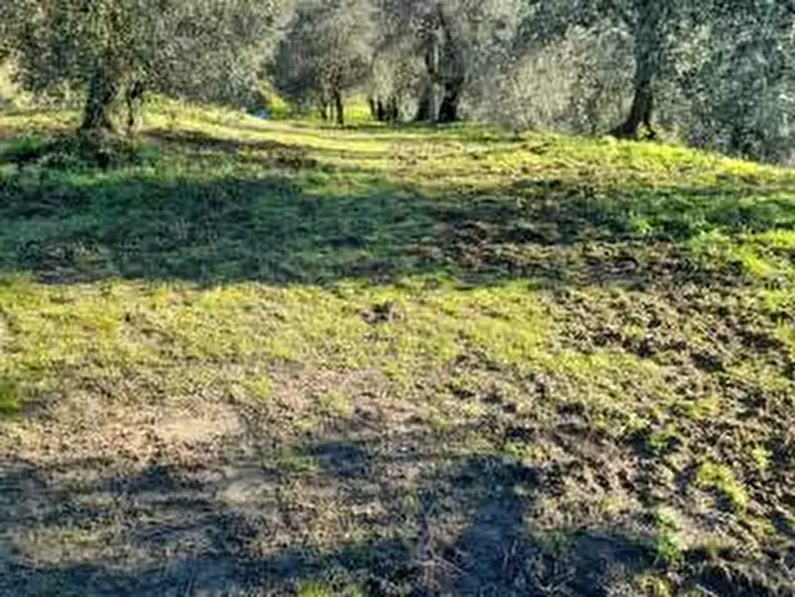 Immagine 7 di Appartamento in vendita  in fontanelle a Montopoli In Val D'arno