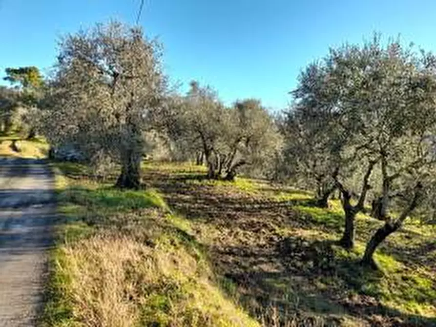 Immagine 8 di Appartamento in vendita  in fontanelle a Montopoli In Val D'arno