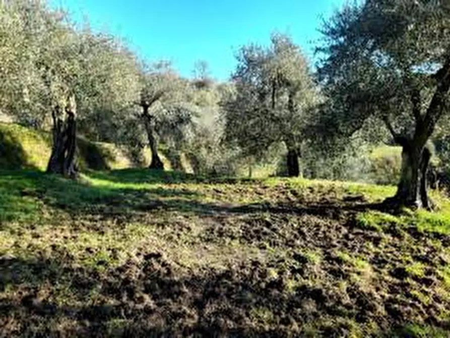 Immagine 9 di Appartamento in vendita  in fontanelle a Montopoli In Val D'arno