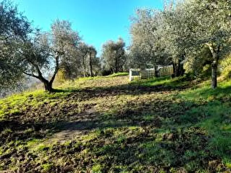 Immagine 10 di Appartamento in vendita  in fontanelle a Montopoli In Val D'arno