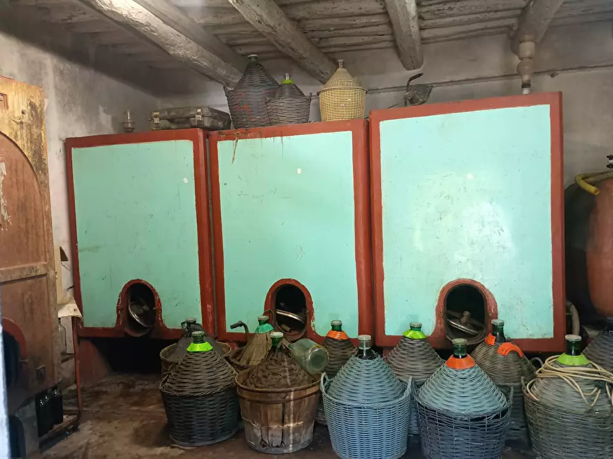 Immagine 6 di Terreno agricolo in vendita  in VIA DEL CHIANTI a Terricciola