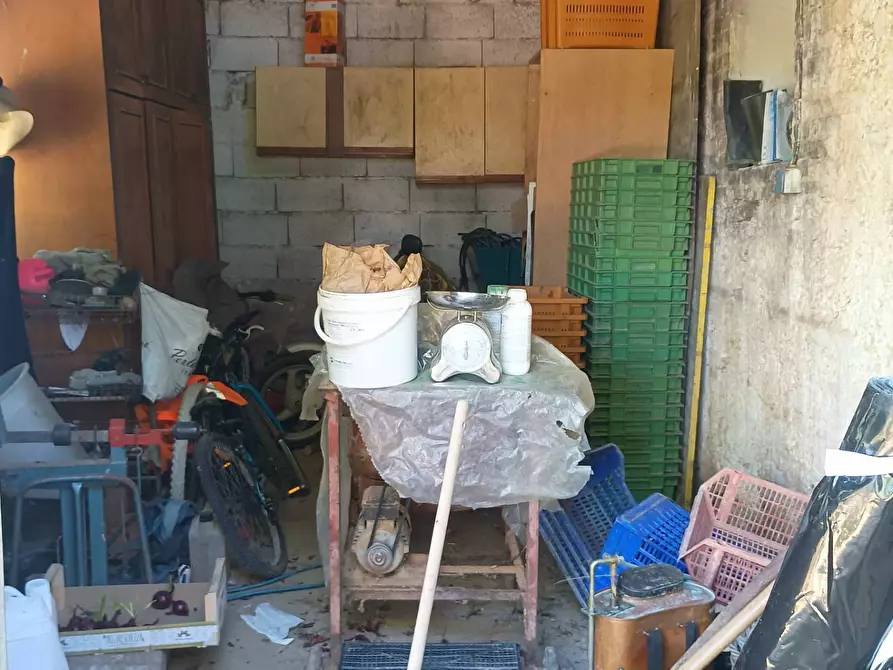 Immagine 7 di Terreno agricolo in vendita  in VIA DEL CHIANTI a Terricciola