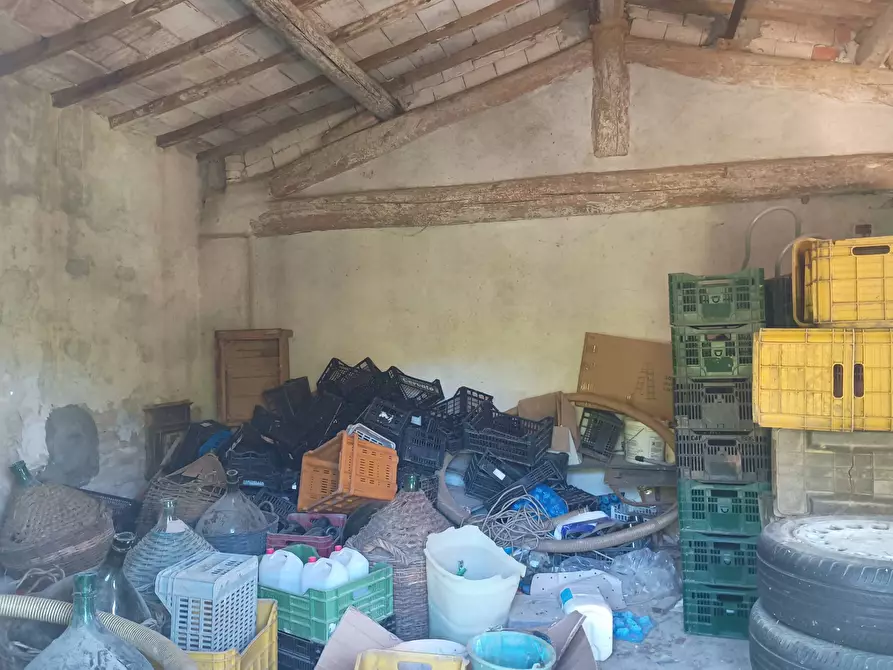 Immagine 9 di Terreno agricolo in vendita  in VIA DEL CHIANTI a Terricciola