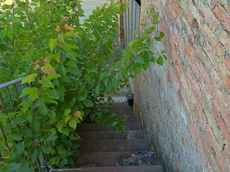 Immagine 10 di Terreno agricolo in vendita  in VIA DEL CHIANTI a Terricciola