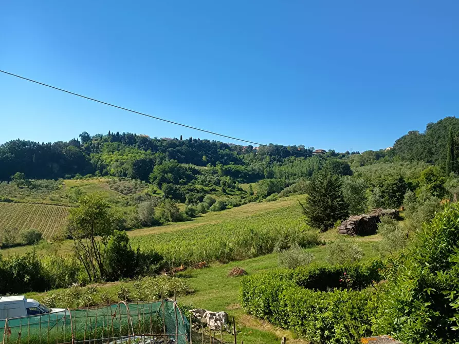 Immagine 11 di Terreno agricolo in vendita  in VIA DEL CHIANTI a Terricciola
