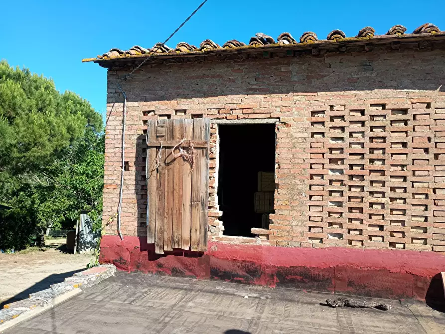 Immagine 12 di Terreno agricolo in vendita  in VIA DEL CHIANTI a Terricciola