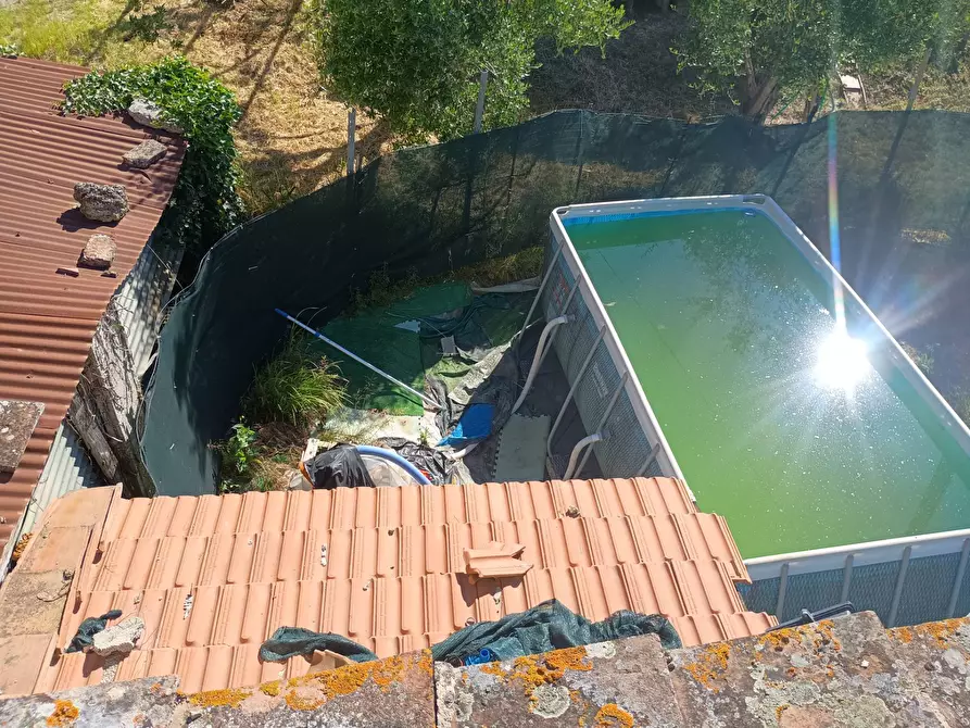 Immagine 13 di Terreno agricolo in vendita  in VIA DEL CHIANTI a Terricciola