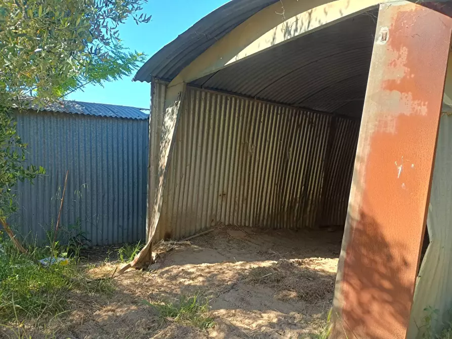Immagine 15 di Terreno agricolo in vendita  in VIA DEL CHIANTI a Terricciola
