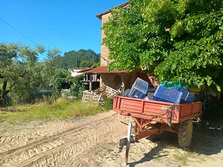 Immagine 2 di Terreno agricolo in vendita  in VIA DEL CHIANTI a Terricciola