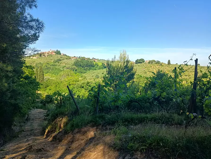 Immagine 4 di Terreno agricolo in vendita  in VIA DEL CHIANTI a Terricciola