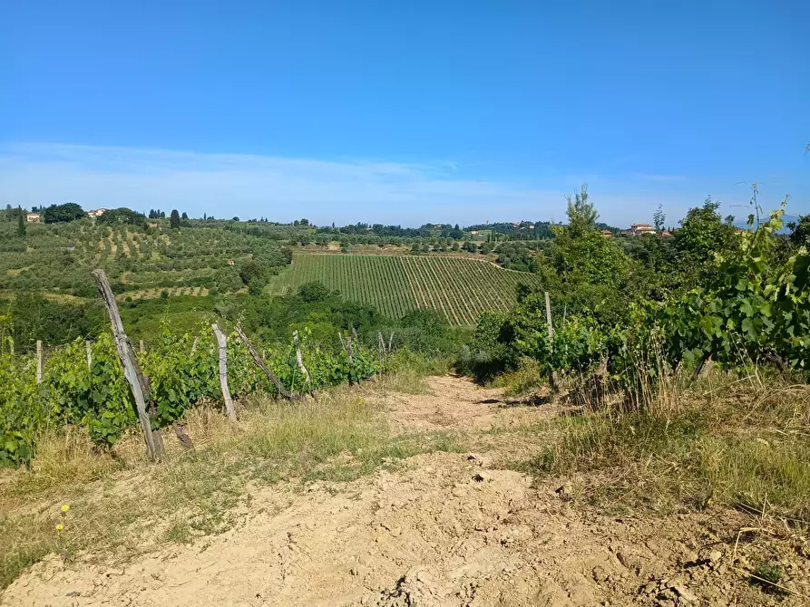 Immagine 5 di Terreno agricolo in vendita  in VIA DEL CHIANTI a Terricciola