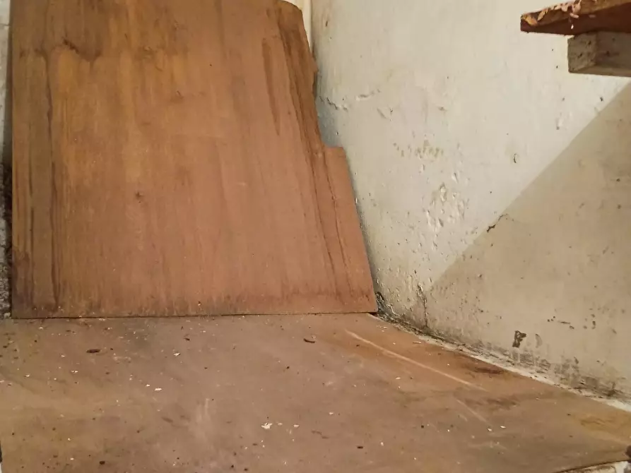 Immagine 5 di Appartamento in vendita  in via della croce a Terricciola