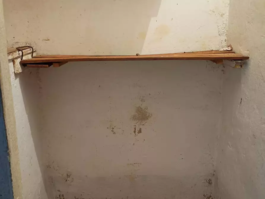 Immagine 6 di Appartamento in vendita  in via della croce a Terricciola