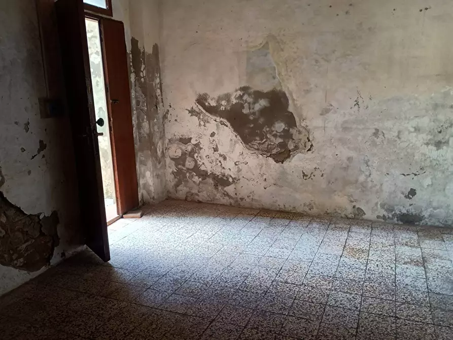 Immagine 17 di Appartamento in vendita  in via della croce a Terricciola