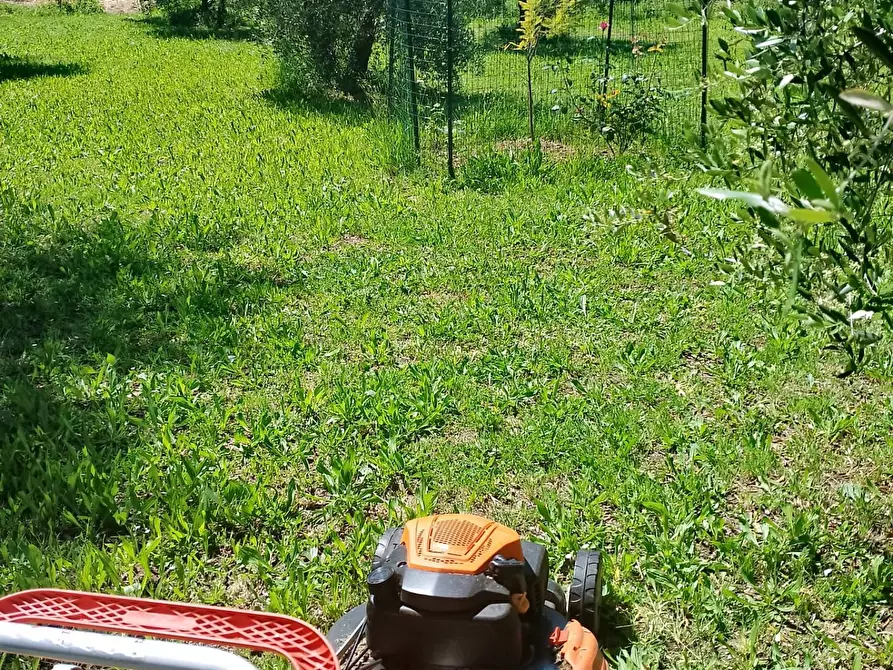 Immagine 2 di Terreno agricolo in vendita  in via terricciolese a Terricciola