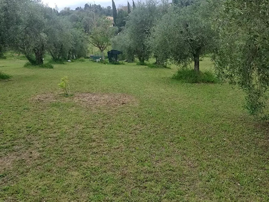 Immagine 3 di Terreno agricolo in vendita  in via terricciolese a Terricciola