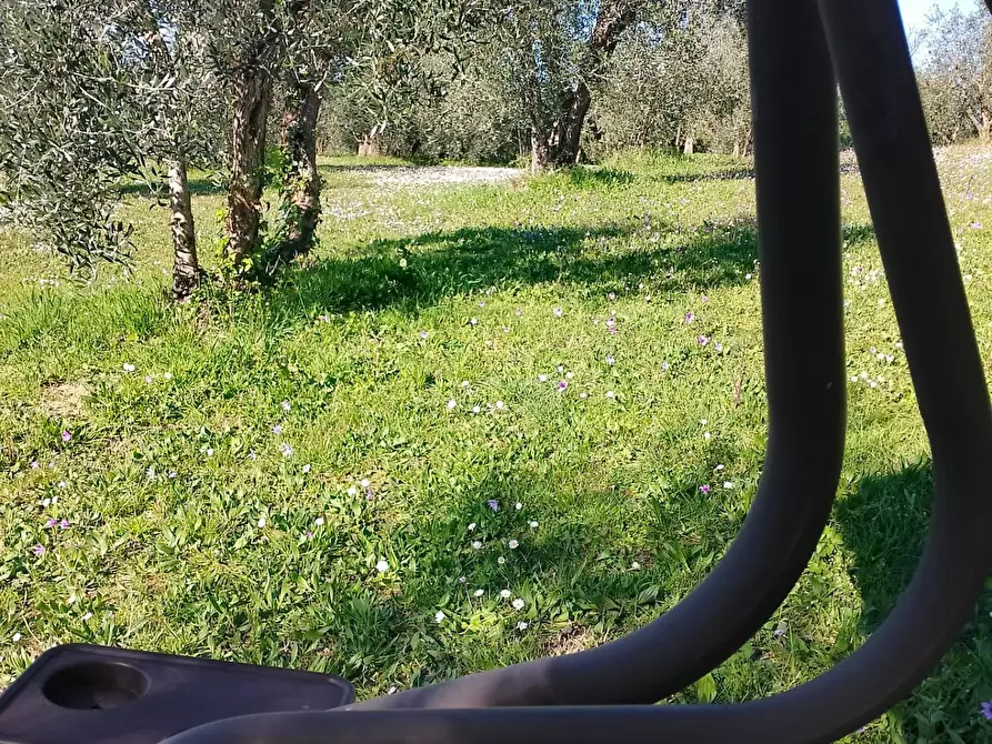 Immagine 5 di Terreno agricolo in vendita  in via terricciolese a Terricciola