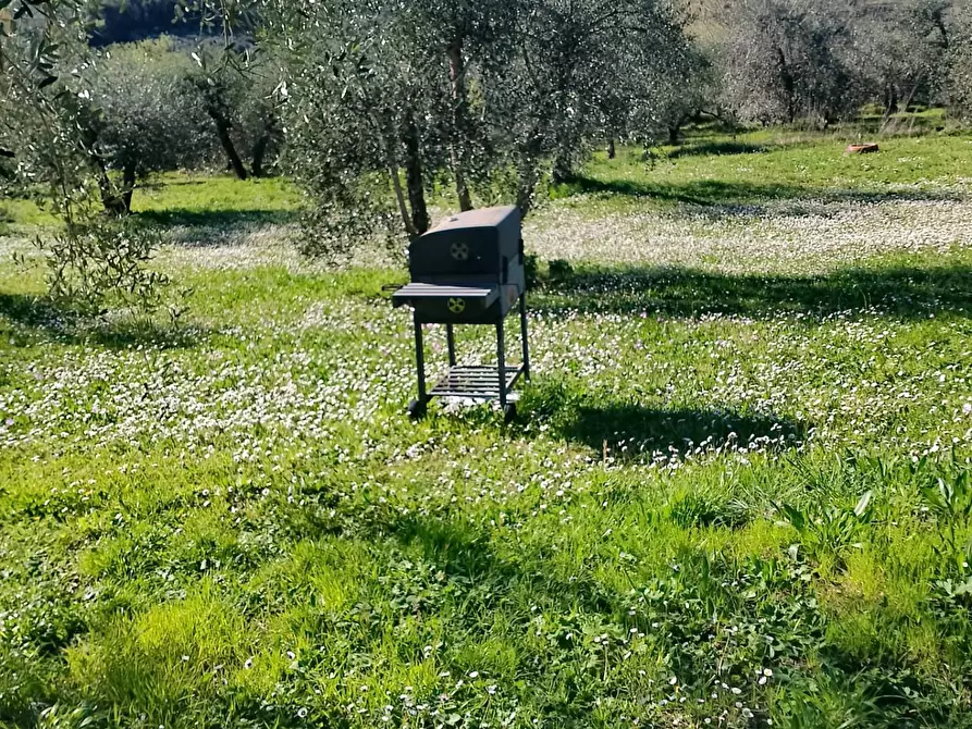 Immagine 6 di Terreno agricolo in vendita  in via terricciolese a Terricciola