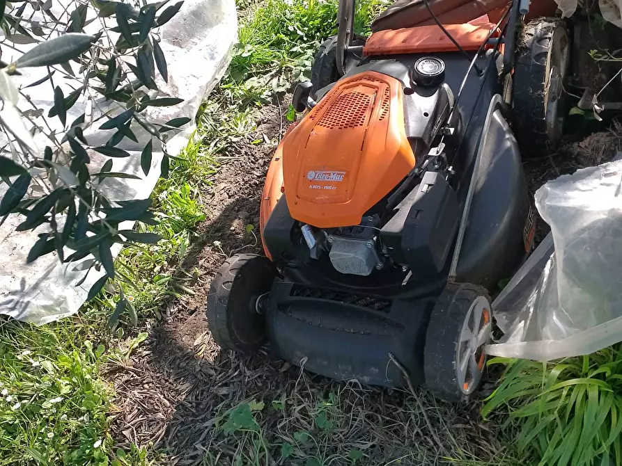 Immagine 8 di Terreno agricolo in vendita  in via terricciolese a Terricciola
