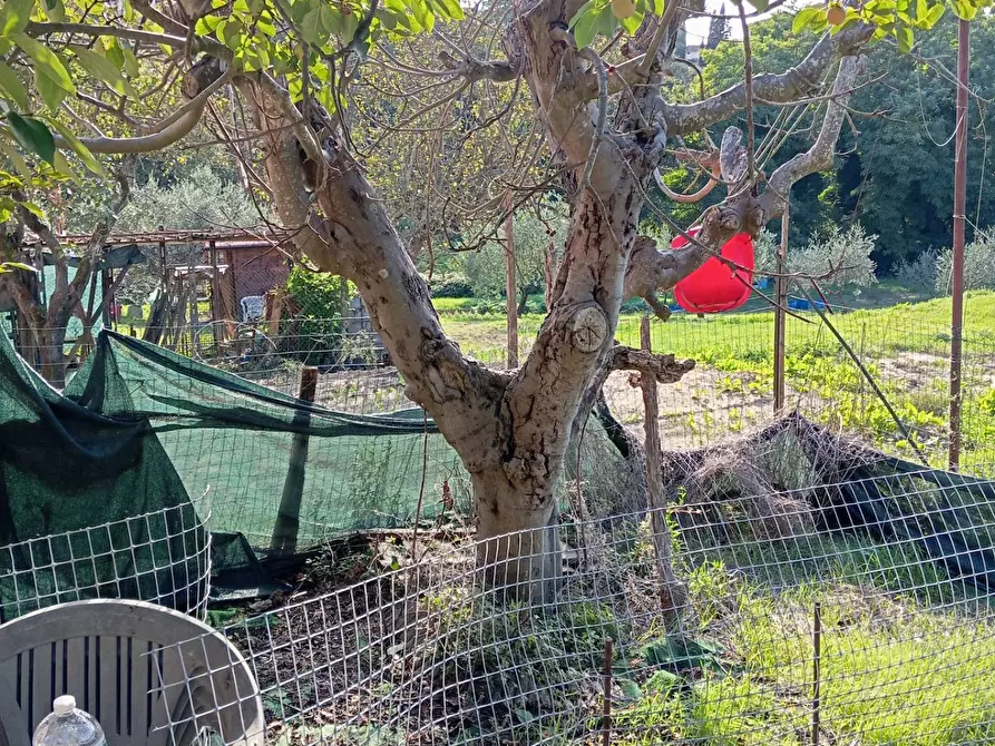 Immagine 16 di Appartamento in vendita  in via Solferino a Pontedera