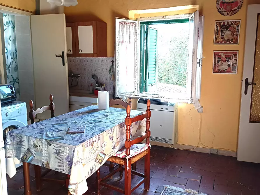 Immagine 6 di Appartamento in vendita  in via le mura a Crespina Lorenzana