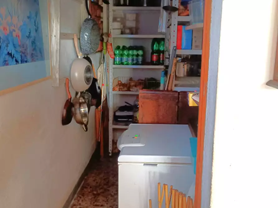 Immagine 3 di Appartamento in vendita  in via guido ragli a Crespina Lorenzana