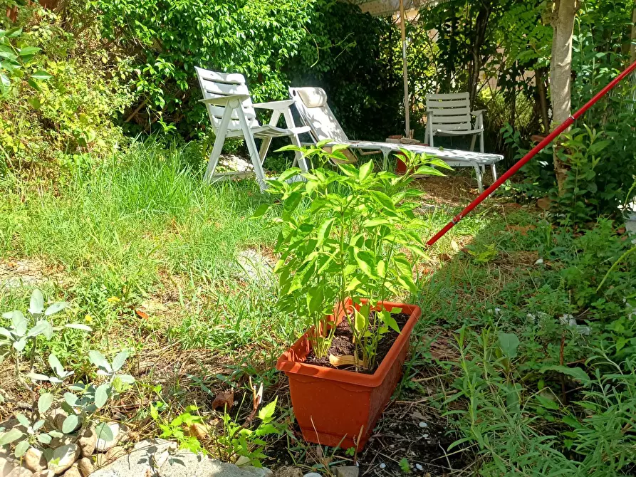 Immagine 26 di Appartamento in vendita  in via guido ragli a Crespina Lorenzana