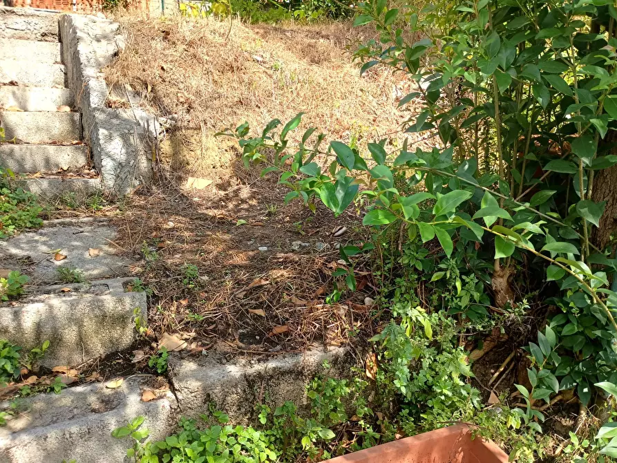 Immagine 27 di Appartamento in vendita  in via guido ragli a Crespina Lorenzana