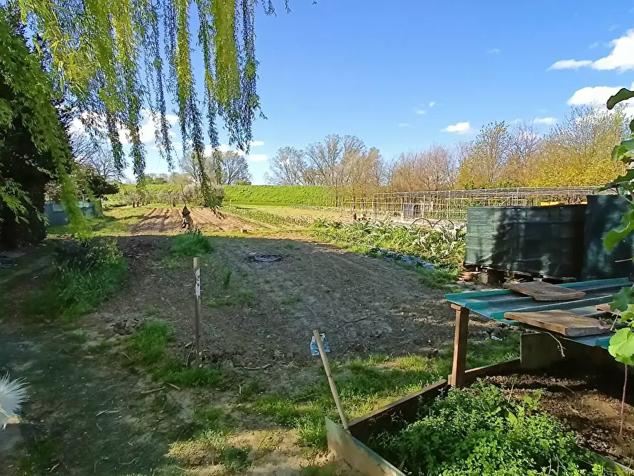 Immagine 2 di Agriturismo in vendita  in via del pesco a Santa Maria A Monte