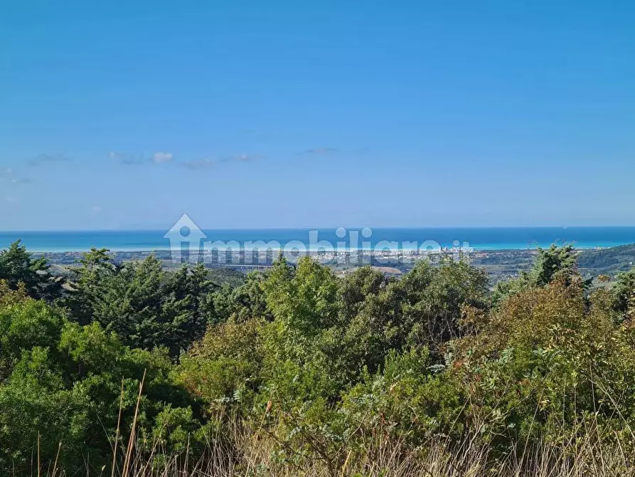 Immagine 15 di Appartamento in vendita  in via della repubblica a Castellina Marittima