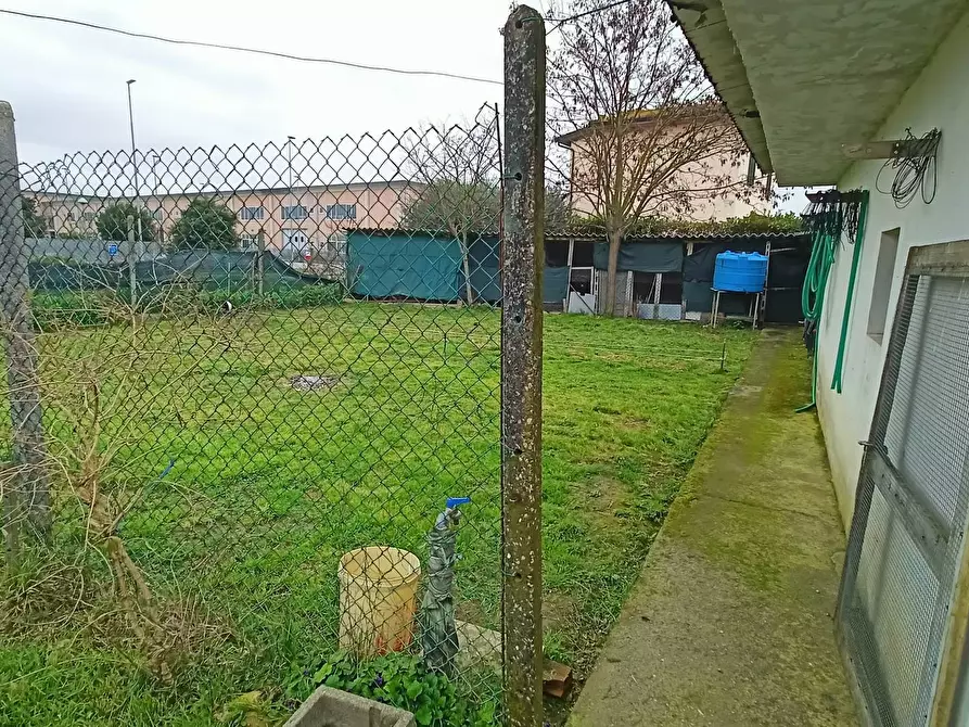 Immagine 3 di Villetta a schiera in vendita  in via Lavoria a Crespina Lorenzana