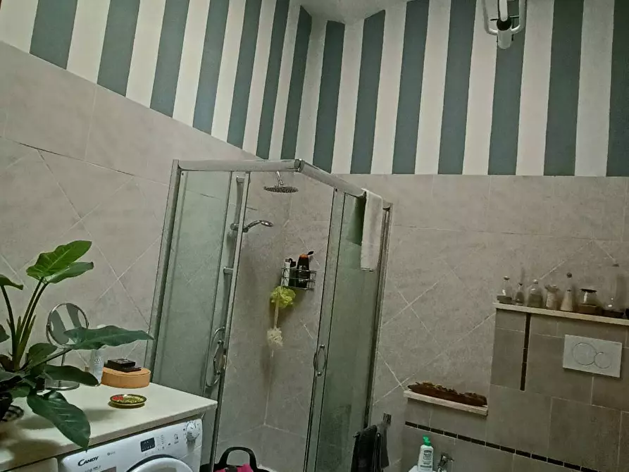 Immagine 12 di Appartamento in vendita  in via montegrappa 3 a Crespina Lorenzana