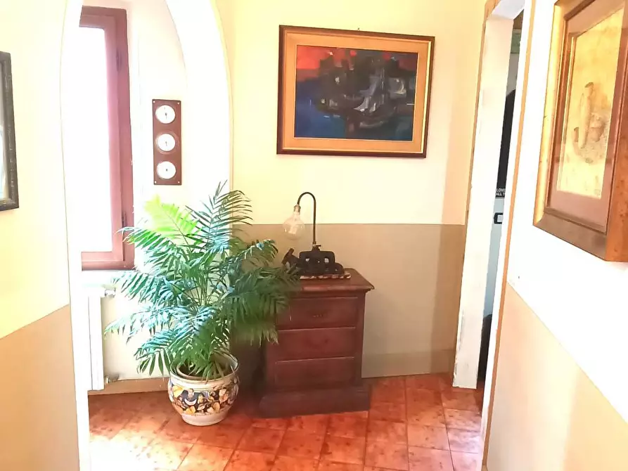 Immagine 13 di Appartamento in vendita  in via montegrappa 3 a Crespina Lorenzana