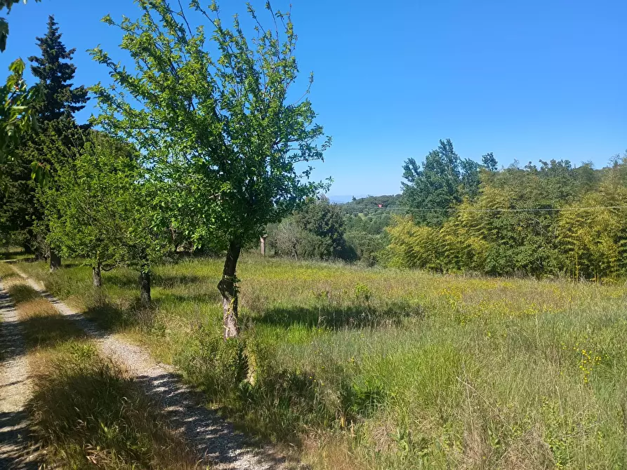 Immagine 1 di Casa indipendente in vendita  in via nuova a Palaia