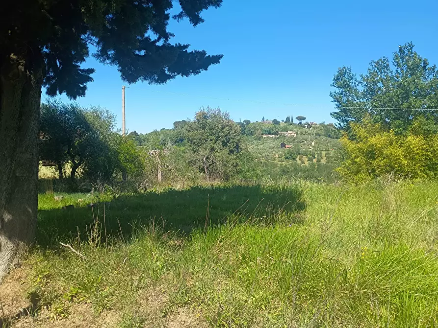 Immagine 3 di Casa indipendente in vendita  in via nuova a Palaia