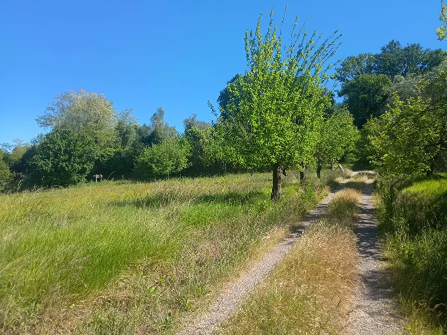 Immagine 4 di Casa indipendente in vendita  in via nuova a Palaia