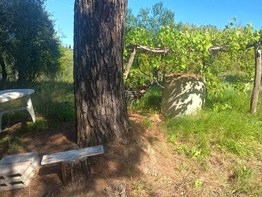 Immagine 5 di Casa indipendente in vendita  in via nuova a Palaia