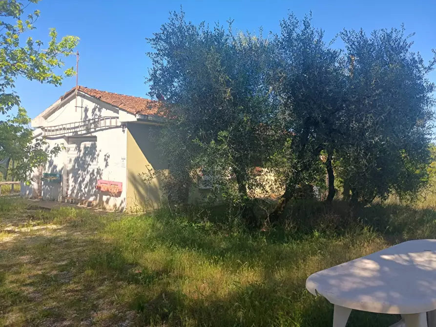 Immagine 6 di Casa indipendente in vendita  in via nuova a Palaia