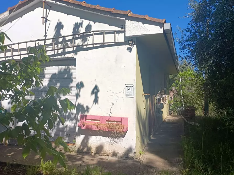 Immagine 7 di Casa indipendente in vendita  in via nuova a Palaia
