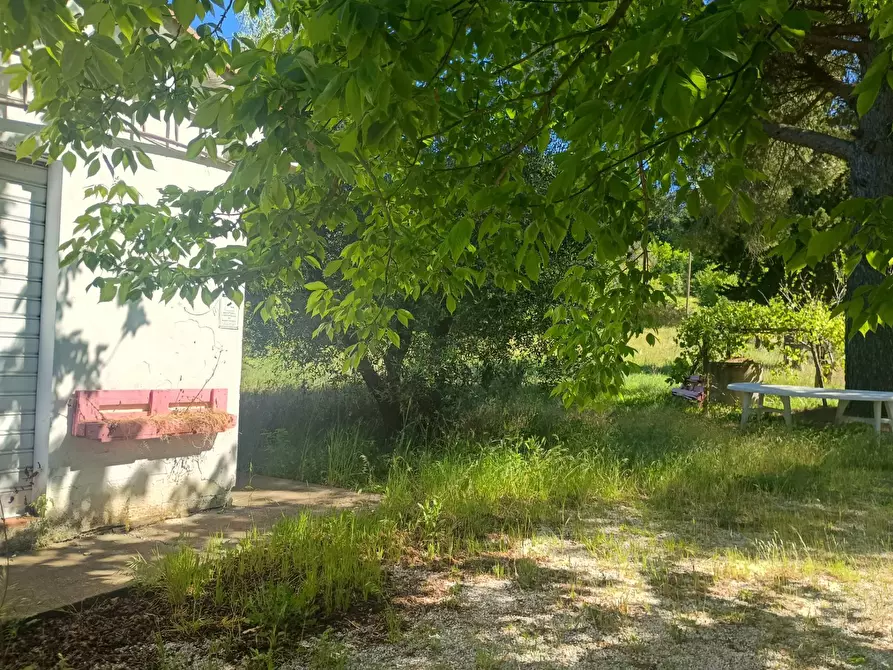 Immagine 8 di Casa indipendente in vendita  in via nuova a Palaia