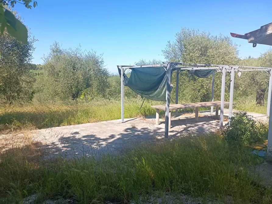 Immagine 9 di Casa indipendente in vendita  in via nuova a Palaia